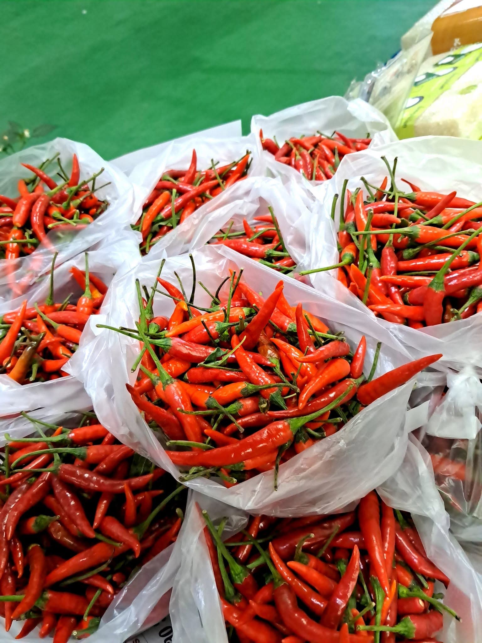 Chilies Chilies