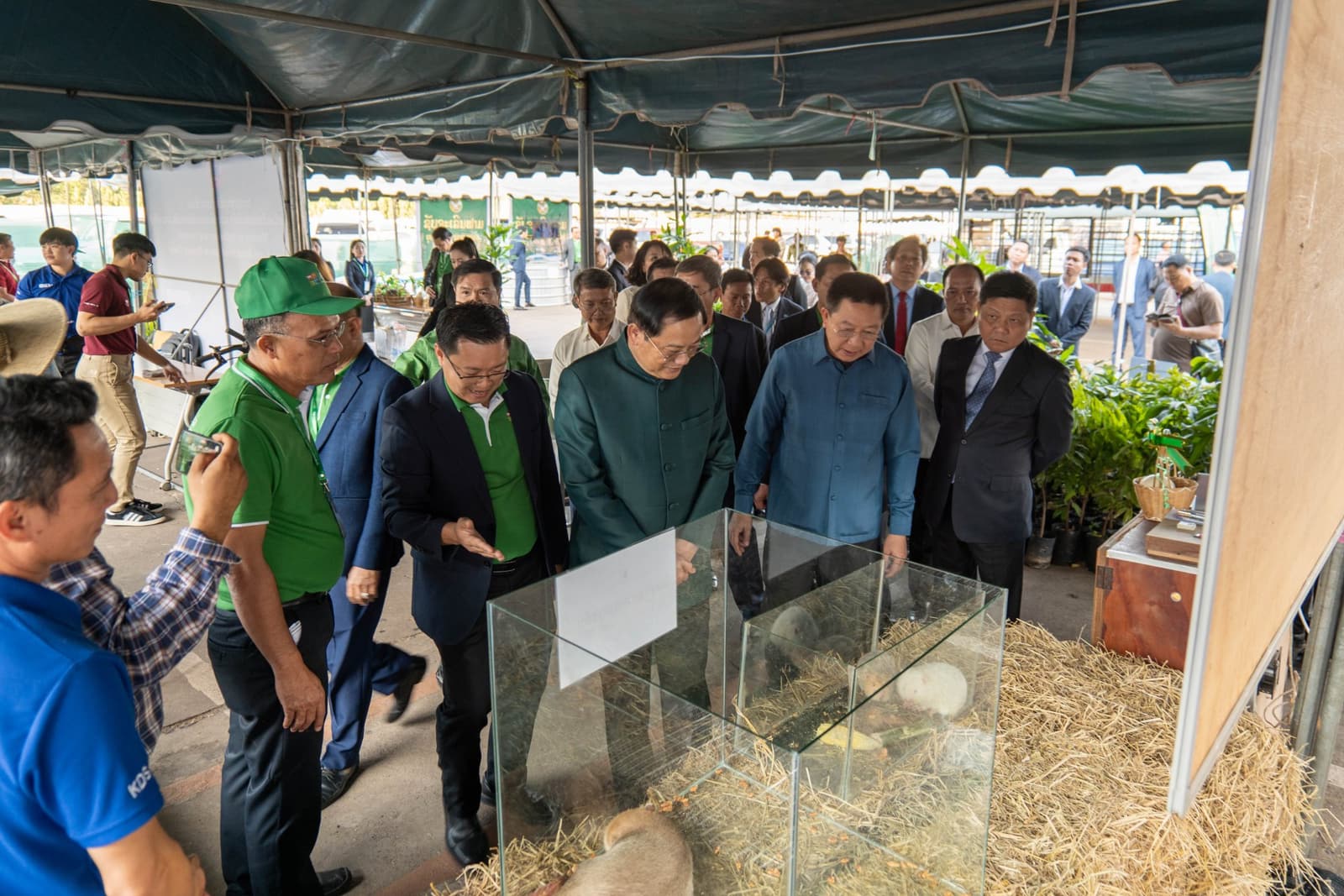 Fish-farming demo Fish-farming demo