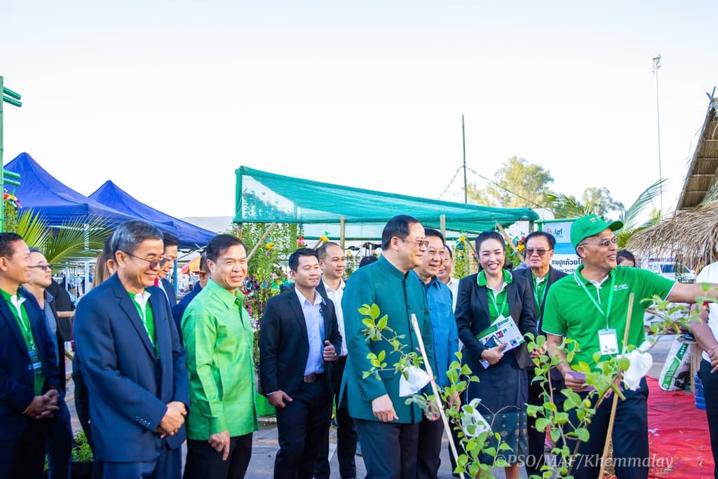 Tree planting Tree planting